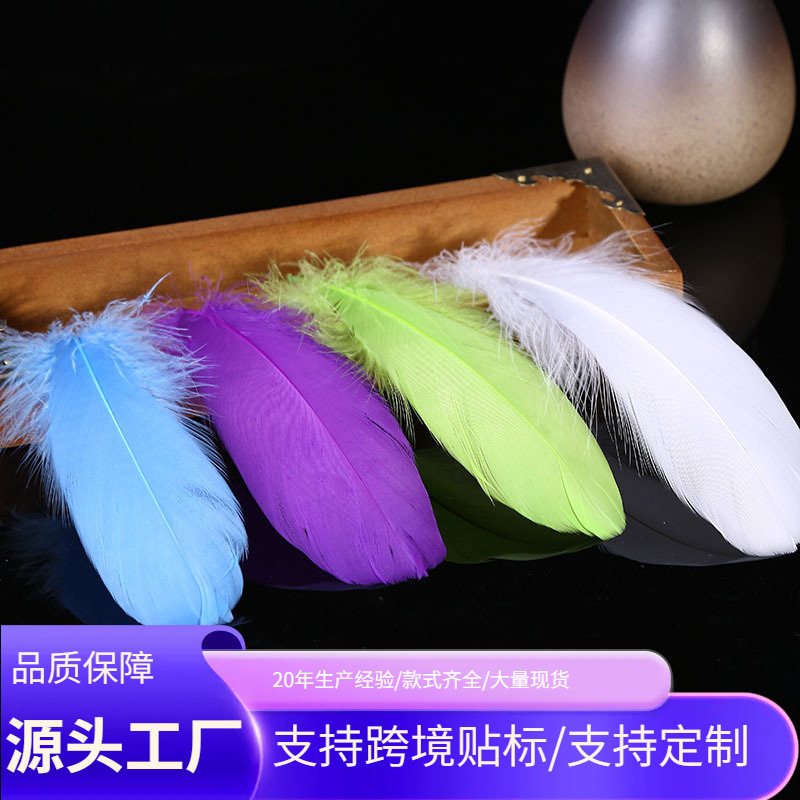 accessory