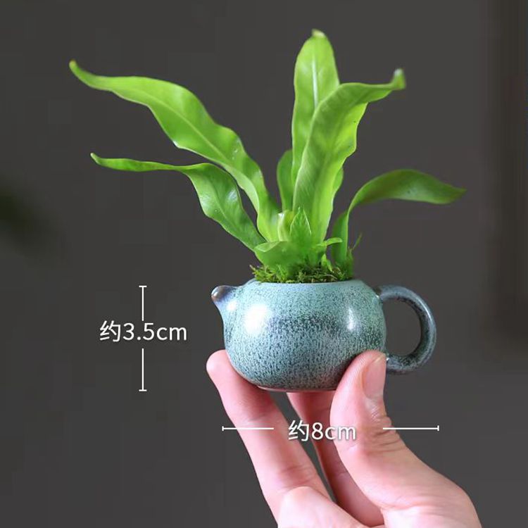 微信图片_20240526161645