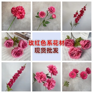 õ�tɫϵ��c���÷��滨�Ƶ�Y��·���b�����õ��ٻ��S�����l