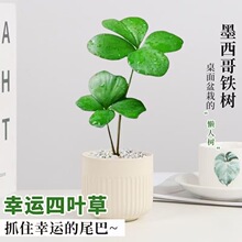 ī�����F�����~���\���҃��k�����GֲС���Թ��L�辰�������ֲ��