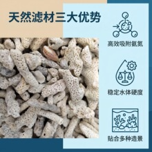 珊瑚石过滤净水滤材海鲜池全套过滤材料海鲜缸用珊瑚砂鱼池珊瑚骨