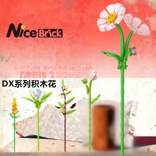 DX�eľ��õ�廨���տ���֧DIYŮ���Y��ƴ�b����[���eľ����ֻ