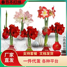 һ�����l�M��Ϟ����피t�N��ʯϞ�tɫ����ֲ���Y�жYƷ�Y���^