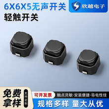 _PԪp|o_P6*6*5p|_P oIo_P