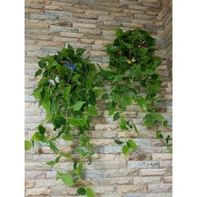 �G�}�L�ٷ����b��ٗl�����~���҃ȱڒ�ٻ��Gֲ�젝���ϵ��m���@