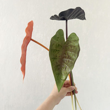 仿真花 龟背叶高品质海棠叶 小众花材 酒店软装设计 配材摆件花艺