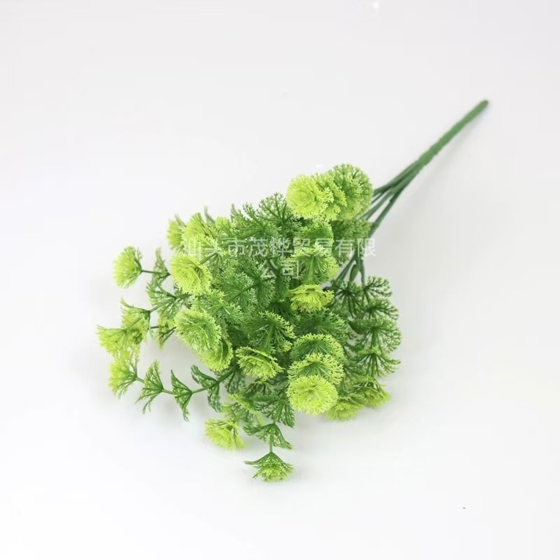 그린 미디엄 바닐라