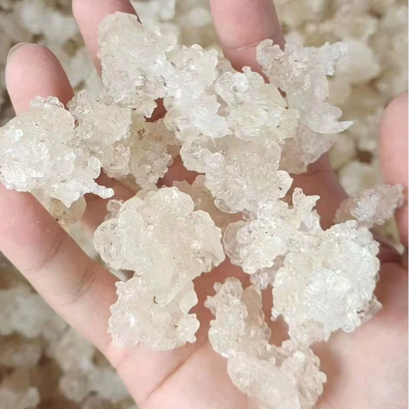 Xueyan гражданское Птичье гнездо с персиковой камедь Gangle рисовая тремелла десертный магазин отель происхождения партия высокие пузырчатые волосы легко чистятся