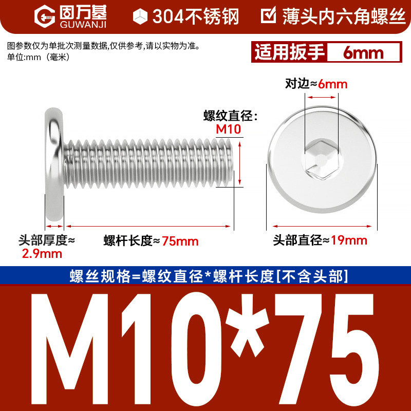 304 M10*75
