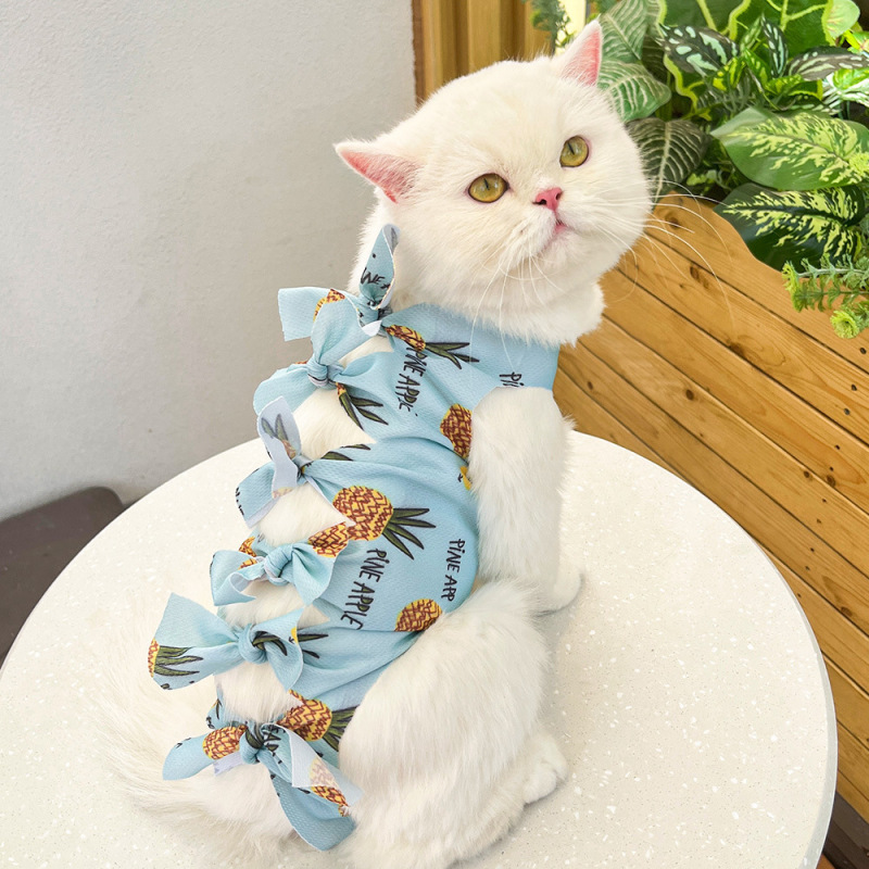 猫咪绝育服母猫手术服衣服透气戒奶服奶服公猫防舔术后宠物猫猫|undefined