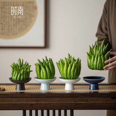 佛手柑托盘器皿陶瓷高脚佛手柑摆放盘中式禅意风放佛手瓜专用盘子