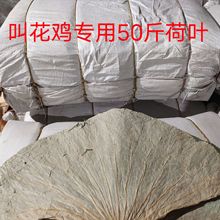 ΢ɽ~Guaruɺ~ô󏈽лu~