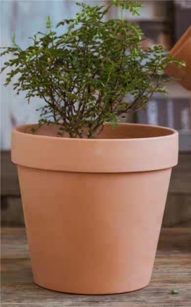 赤い陶器の植木鉢、吸水性、通気性、根腐れしない粘土トレイ、浮遊粘土ポット、大型の緑の植物多肉植物ポット|undefined