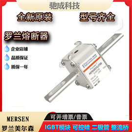 A070UD31LI700  A070UD31LI800 A069UD33LI450全新熔断器厂价直销