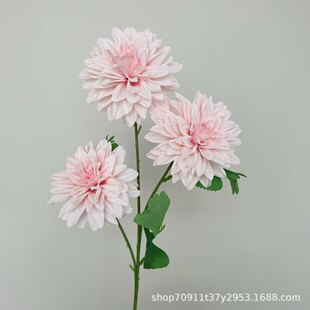 �羳�ٻ���c���滨�û��ֹ�������������Q���������bҾӔ[��
