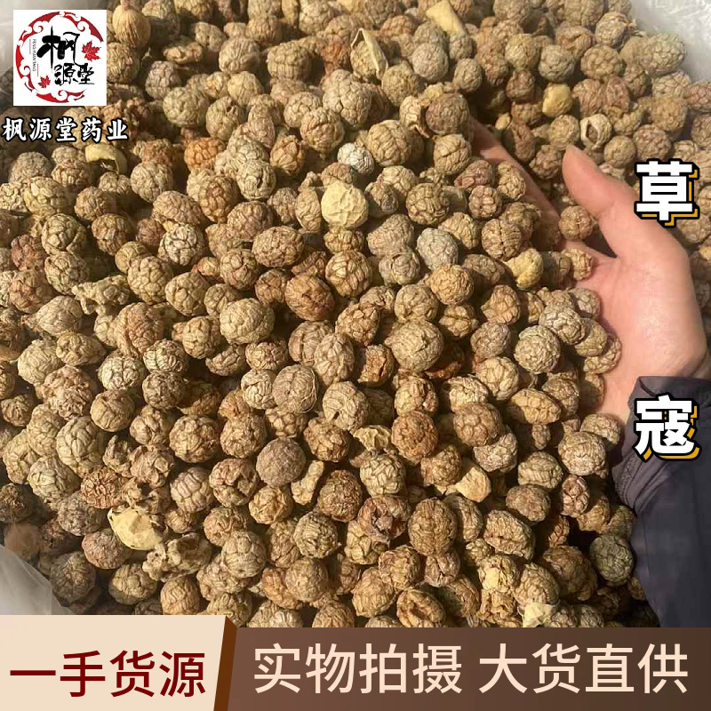 草豆蔻小草寇 草扣香料批发大全草蔻香料大料炖肉调料老豆寇 草蔻