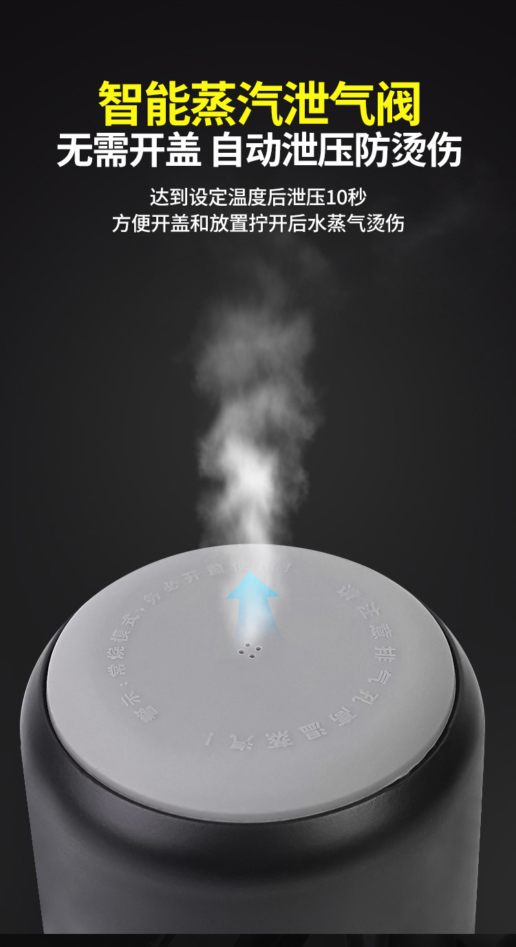 Cross-Border Spot Portable Car Water Cup 12V24V Universal USB Thermal Insulation Large Car Dual-Purpose Electric Water Kettle