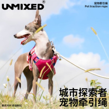 UNMIXED城市探索者牵引绳狗狗遛狗宠物多功能牵绳户外牵引四季