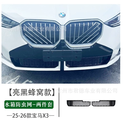 Automobile anti-insect net Insect-Proof Mesh Snap-On Front - 25-26-bmw-x3-bright-black-honeycomb-water-tank-insect-proof-net