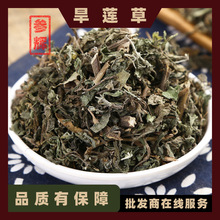 旱莲草 批发中药材旱莲草500g 墨旱莲 现货批发 量大从优