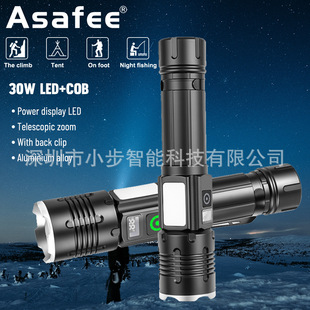 25���¿�30W�׼������Ͳ�����@COB�t�ׂȟ􎧹P�Aβ����������s