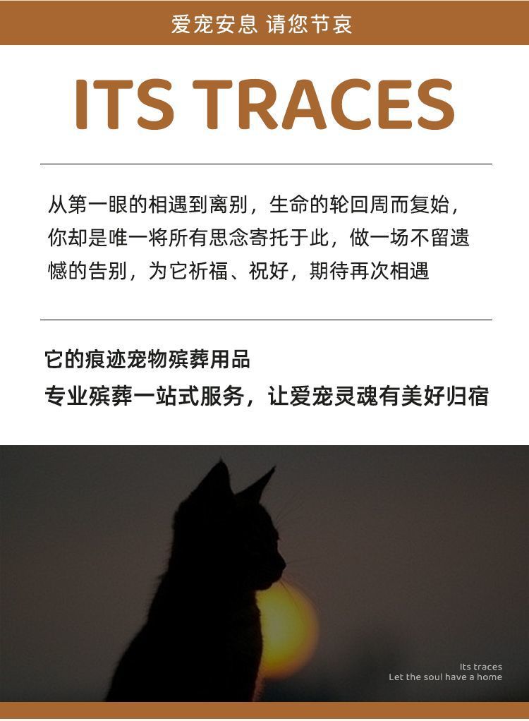 26177a85-e8ac-4cad-bccc-4eeadf1aa1d4.jpe