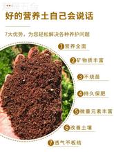 新款云南腾冲火山营养土多肉草莓养花种菜专用种植土通用型大包泥
