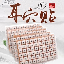 ��������Ѩ�N�����N���������N��Ѩ���������P���Ӷ���Ѩλ�D