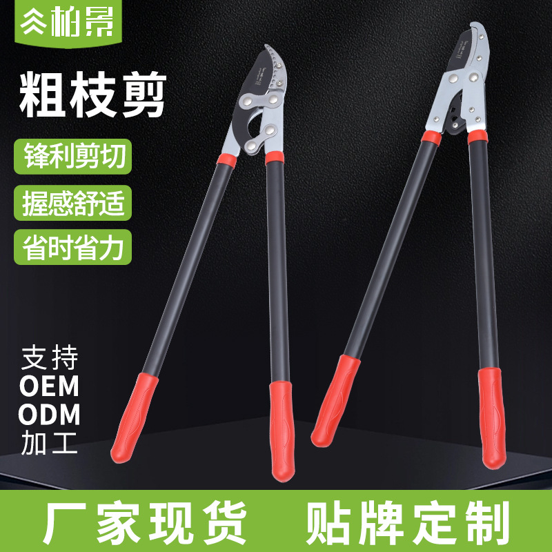 青藤木修剪树枝剪刀果树剪枝高枝剪园林粗枝剪剪花枝园艺工具