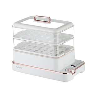 Ritfei All-In-One Electric Steamer Llg-800A