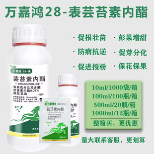 ��Ȼ28��̦ܿ�؃�֬�̨�؃���ֲ�����L�{�����M���~����rș���l