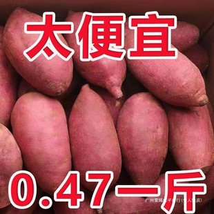 �tƤ�r���ԷN����ɽ�����r���ļt���S�ğ�������С���t��ɳ�صع�