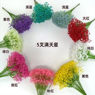 ����M���Ǽٻ����l���滨·�����յ��ߔ[����Y��c�b��ò廨