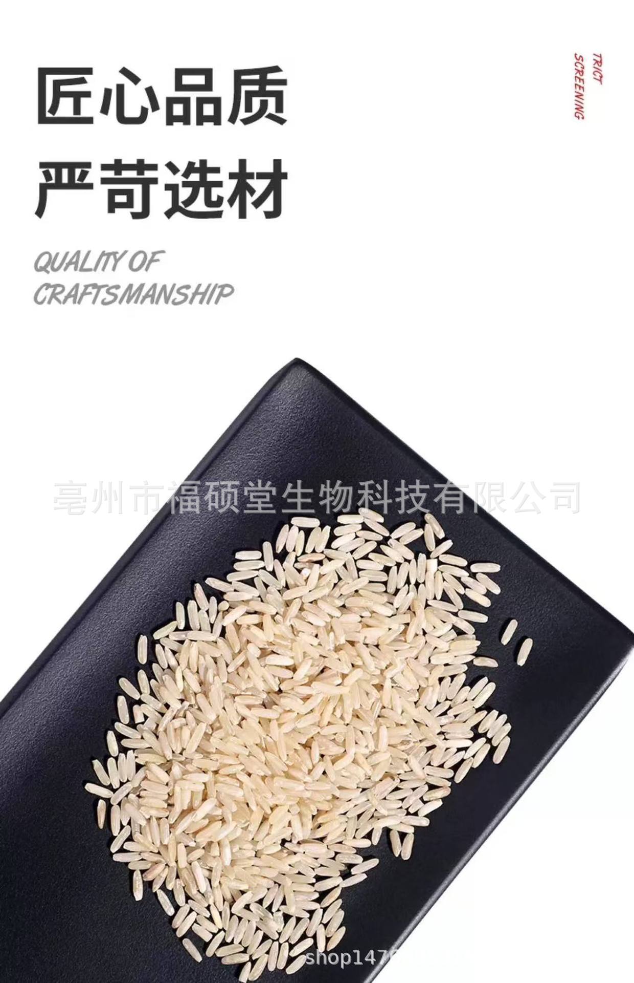 Japonica Rice (Oryza sativa) — Dried Food Grain for Congee & Daily Nourishment key features
