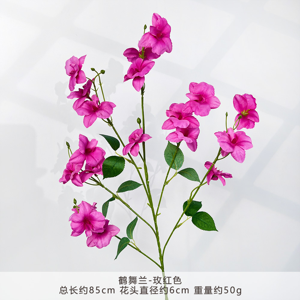 WP-He หวู่หลาน-โรสเรด