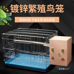 セキセイインコ鳥かご中型および大型電気メッキ牡丹黒フクロウ太字飼育大型金属繁殖鳥シリーズ