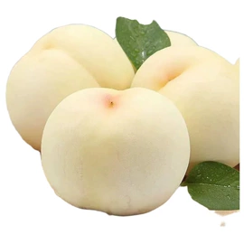 桃子;块茎类;瓜果类
