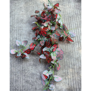 ������c�~�ع��~�G�}�~���~�پGֲ�ڒ��~��ֲ��b�������