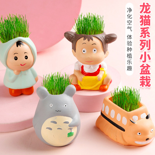 Children's diy planting small potted plants creative desktop mini grass head plants micro landscape indoor ceramic green plants wholesale