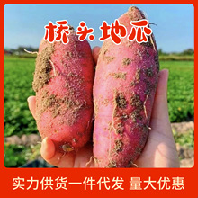 ���տ졿���ϳ��~�������^�ع� ���l���r����ެ������������ֱ�l