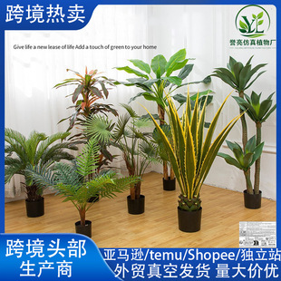 �羳��������Gֲ�����҃ȴ���ֲ���b٘�[�������B���˽�