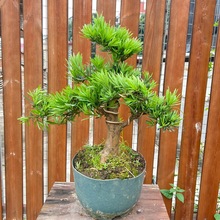 �_�h���Ϙ������辰���͘�ӭ�����҃����ԾGֲȸ���_�h����������