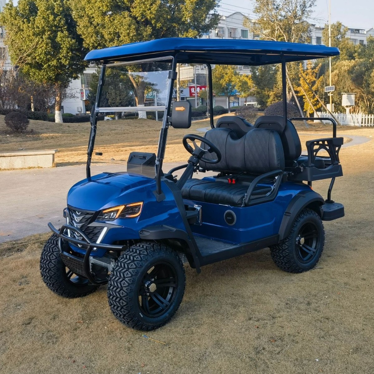 Epa Certification 300Cc Automatic Block Gasoline Power Efi Ignition 4 Seats Off-Road Pneumatic Golf Cart