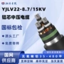 国标高压平方室外电线