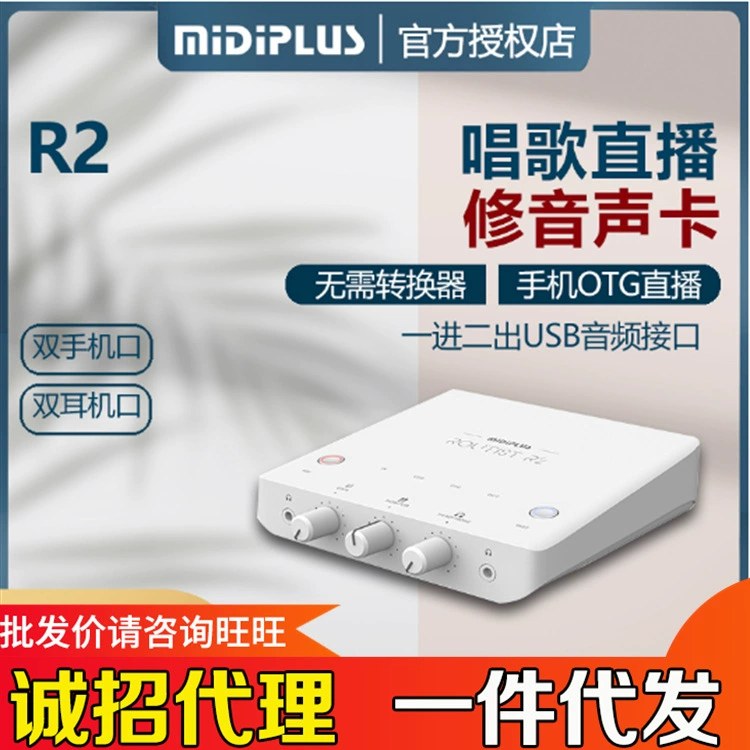 Внешняя звуковая карта Midiplus R2 USB MIDI компьютер мобильный телефон OTG без потерь прямая трансляция TikTok микрофон костюм