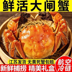 �F�����K���lз�r���з��ĸз���r���rˮ�a�Y����月Fُ���l���]