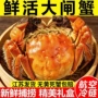 江苏水产鲜活生鲜大闸蟹