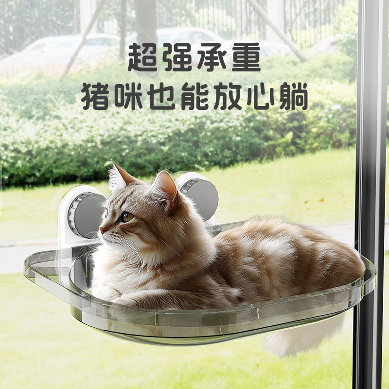 Homera para gatos Ventosa de ventana Nido para gatos Four Seasons Gato Universal Gato Sol Cama colgante Cesta colgante de vidrio Productos para camas para gatos