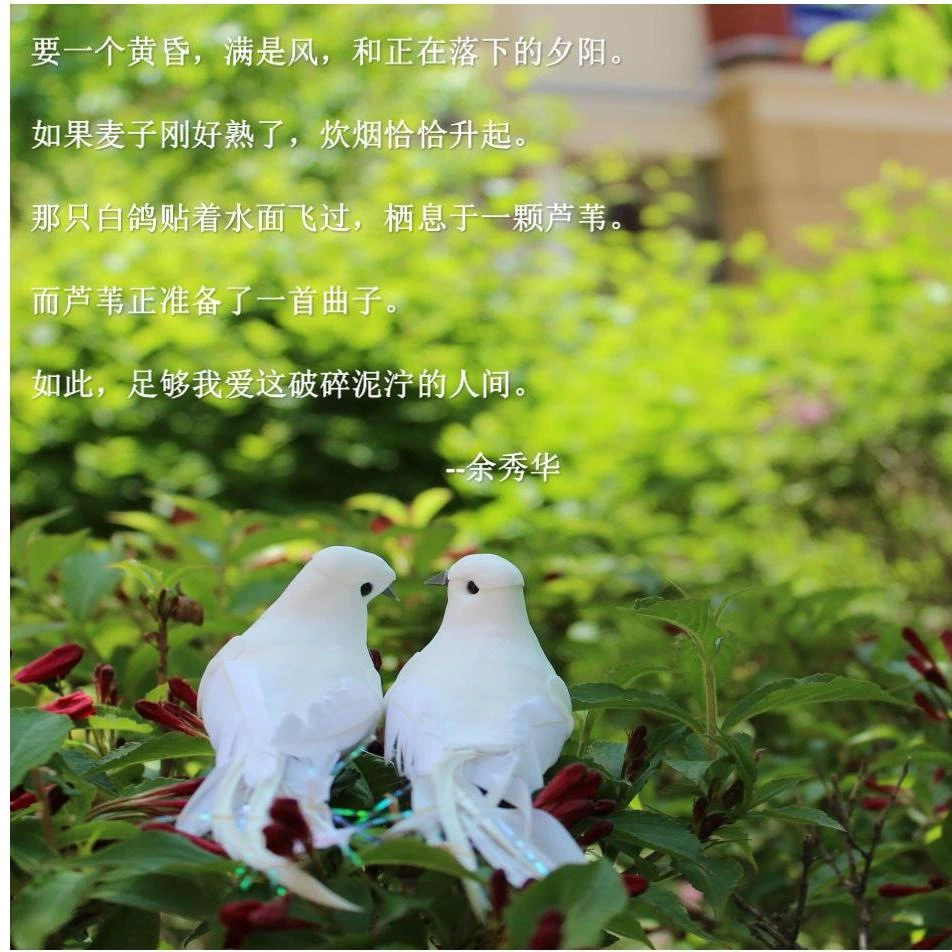 Прямая Продажа с фабрики моделирование перьев пара витой яркий шелк белый голубь Свадебная фотография Реквизит декоративные украшения Пена перо птица