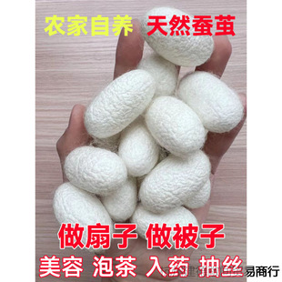 �r�����B��Ȼ�Q�O�����ɳ�z������������diy�p�m���Q�O